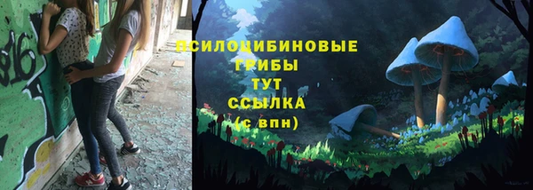 дмт Кизел