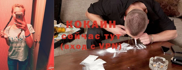прущие грибы Лабытнанги