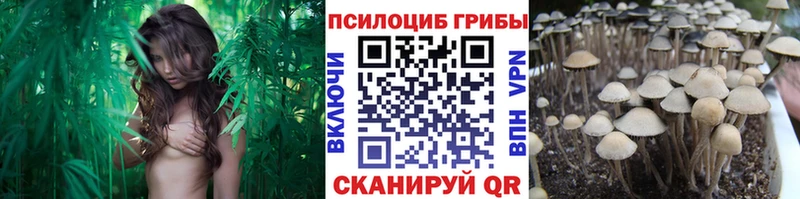Псилоцибиновые грибы MAGIC MUSHROOMS  OMG маркетплейс  Мензелинск  наркотики 